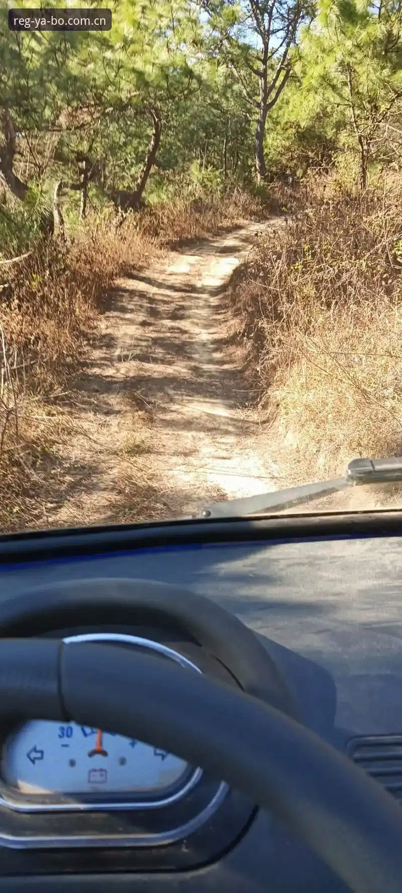 随手点开的野路子 vs 花了半小时找的正门：YABO下载注册通道推荐这件事，选错一步差太多